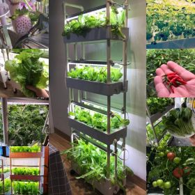 Home Garden Led Hydroponics System 4 Layers 56 Plant Sites Vegetable Planter for Strawberry/Lettuce/Pepper etc