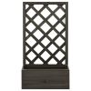 Garden Trellis Planter Gray 19.7"x9.8"x35.4" Solid Firwood