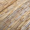 Reed fence 59.1"x196.9